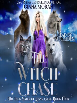 cover image of The Witch Chase